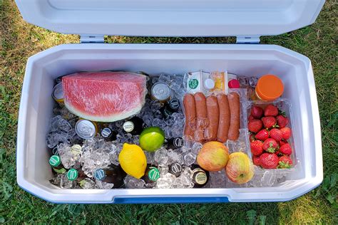 food cooler for camping